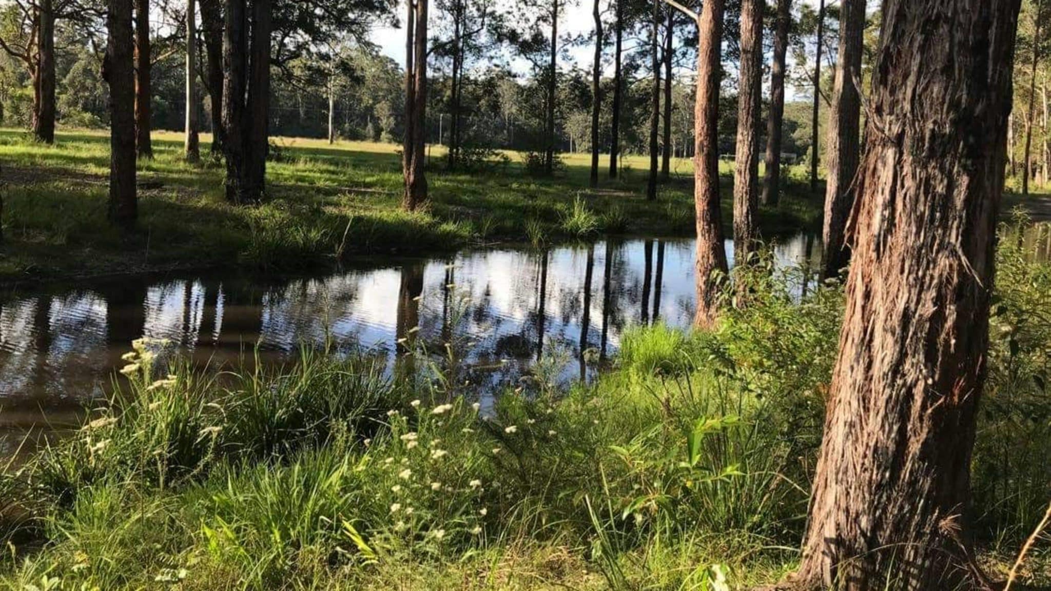 MidNorth Coast Nature Retreat Macleay Valley Coast